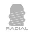 Radial joint logo