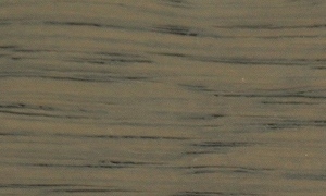 Grey Oak Colour Sample by Thailand Pool Tables